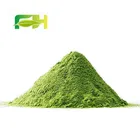 Free Sample Organic Matcha Green Tea Powder