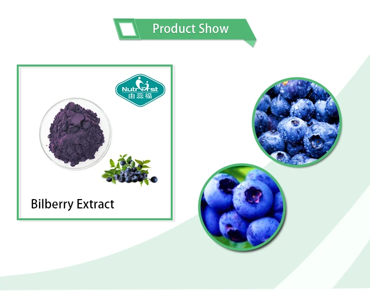 pure plant extract blueberry extract bilberry extract