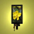5.5inch IPS TFT LCD 1080*1920 full viewing angle with MIPI interface module with capacitive touch panel