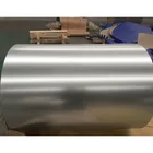 Building Material Ppgi Galvanized Steel Coil