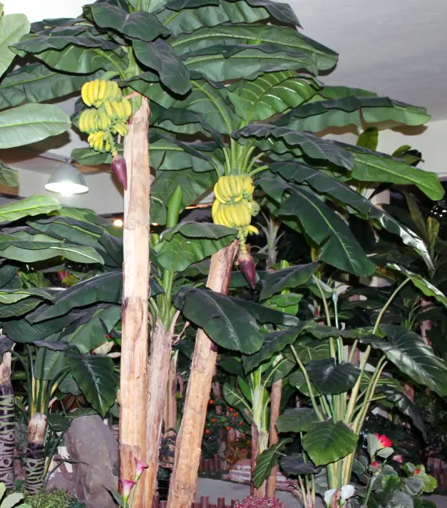 China Supplier Artificial Banana Tree/Popular Fake Banana Tree/Bestselling Banana Trees, View