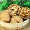 Xinjiang Chinese new corp thin shell walnut dried nuts light walnut kernel colour
