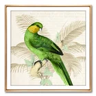 Parrot Birds Print Set of 4 Birds Wall Art Print , Parrot Picture, Tropical Bird for Home Decor