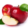 /product-detail/apple-juice-concentrate-with-brix-70-1-from-factory-60794591109.html