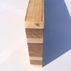 Wholesale Price Single Layer Carbonized 4x8 Bamboo Furniture Board Plywood