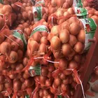 Wholesale yellow onion red onion