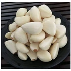 Frozen Price Frozen Frozen Peeled Garlic Clove Low Price Bulk Sale