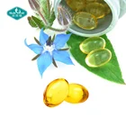 OEM Borage Oil 500mg Softgel Omega 3 Softgel