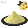 Freeze Dried Price Organic Red Yellow Dried Ginger Powder