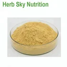 Factory supply high quality Artificial Bezoar powder