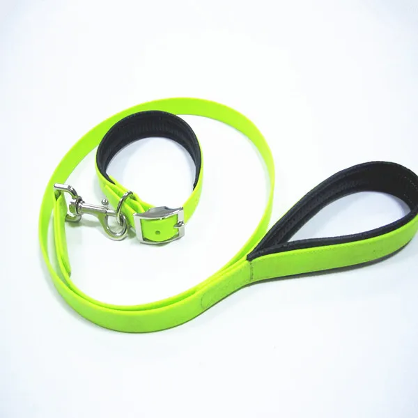 green yellow collar leash.jpg