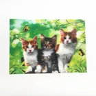 Sedex Factory Supply High-definition Custom PET/PP Pictures Lenticular Personalised