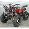 /product-detail/250cc-sport-quad-atv-off-road-big-atv-from-chinese-manufacturer-60448198065.html