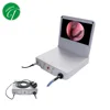 DP-GW601 Medical fiber optic endoscope with standard monitor and cold light source
