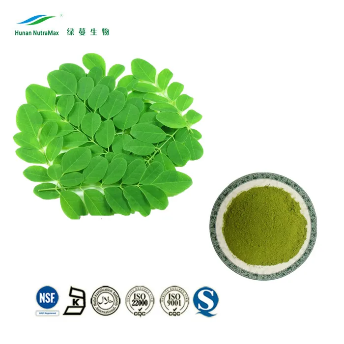 moringa oleifera extract 10:1 moringa leaf extract 20:1