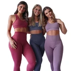 Women Seamless Yoga Gym Set Two Piece Yoga Bra and Pants Two Piece Gym Wear Workout Seamless Set