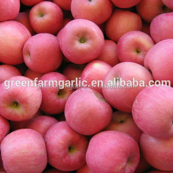 china fuji apples fruit importers wholesale prices apple fruit