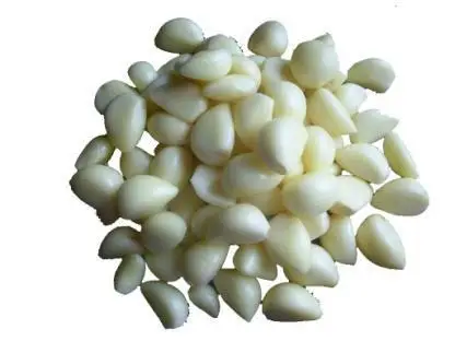 OULENO Supply garlic split machine manufacturer direct JY-139 sausage casing