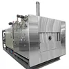 Industrial Freeze Drying Machine Vegetable Sublimation Freeze Drying Vacuum Dehydrator for Fruit and Vegetable