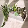 Green Succulent Plants in Rectangular Wooden Box Faux Mixed Succulent Plants For Office Decoration