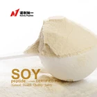 100% pure soy oligopeptides soybean oligopeptides protein for drink