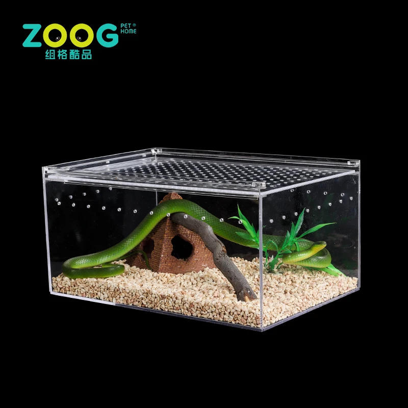 portable lizard cage