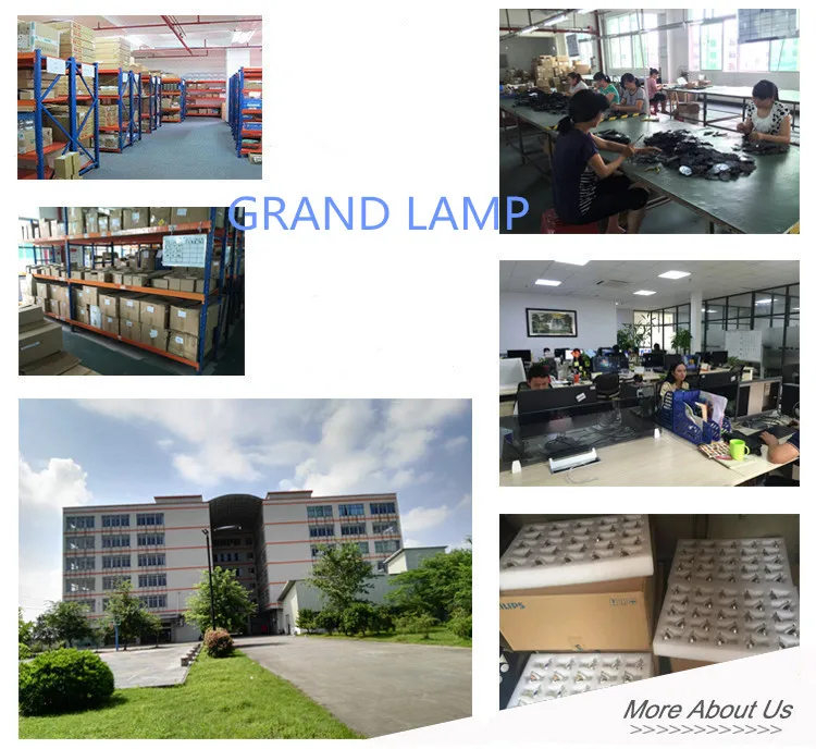 HTB1kP6UgN6I8KJjy0Fgq6xXzVXa9_