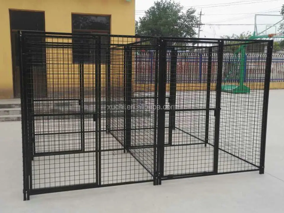 kennel photo (9).jpg