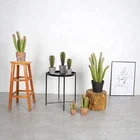 Mini Cactus Cactus Green With Pot 18cm Grafted Mini Cactus Plastic Artifical Cactus As Indoor Ornament