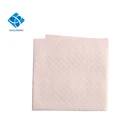 100pcs /bag Super Absorbent Pet Dog Training Pee Pads Healthy Clean Wet Mat
