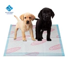 China supplier pet training products all size type dog pee pads puppy training pads