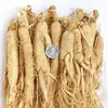 /product-detail/ren-shen-chinese-herbal-medicine-natural-dried-panax-ginseng-root-60732980278.html