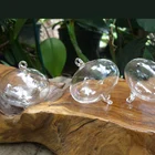 Oblate Hand Blown Decor Hanging Glass Balls MH-12254