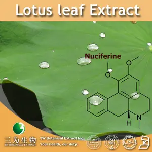 health product lotus leaf p.e.