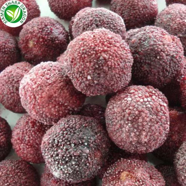 iqf wholesale waxberry frozen red bayberry