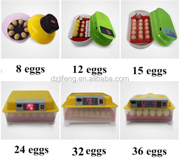 Mini Chicken Eggs Incubator Quail Incubator - Buy Chicken Incubator 