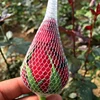 For free samples eco-friendly plastic net flower rose bud protection wrap sleeve net