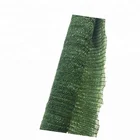 Fast delivery plastic Hot sale Green agricultural shade net greenhouse