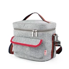 Yiwu Backpacker custom v cool cooler delivery bag with grey color