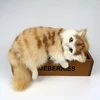 wholesale custom realistic sleeping soft plush breathing cat