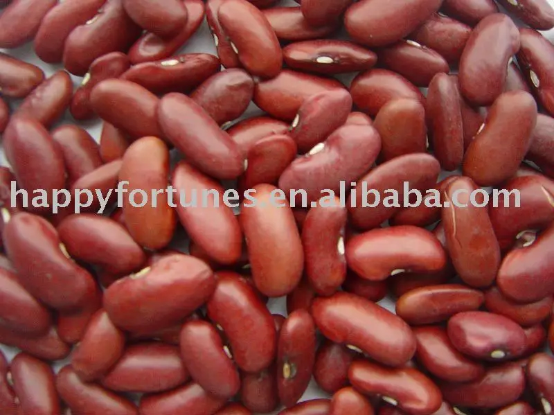 Red Kidney Beans