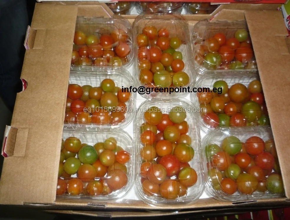 fresh cherry tomatoes