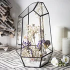 2019 new black frame large geometric glass flower pot planter glass terrarium for garden home decoration
