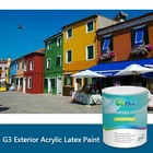 G3 Damp Proof Paint for External Walls