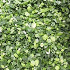 IQF frozen spring onion cut with best quality and hot price