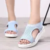 Wholesale Summer Latest Design Blue Mesh Women Sandals Classic Flat Sandals for Women and Ladies