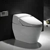 /product-detail/smart-toilet-with-electronic-bidet-toilet-seat-kd-t010a-60489334190.html