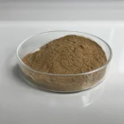 ISO Factory Supply Passion Fruit Powder