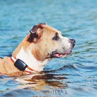 Packaging Customization Gps Device Tracker Waterproof Adjustable GPS GSM 2G GPS Tracker Device Pet Collar Dog Finder