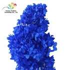 Wedding Decoration Material Preserved Fresh Hydrangea flowers from China